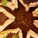 circle of hands holding plants in soil